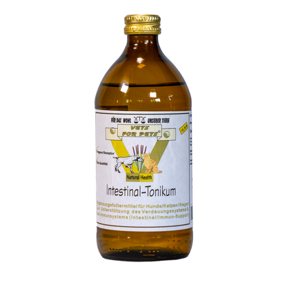 Intestinal-Tonikum – Produktbild