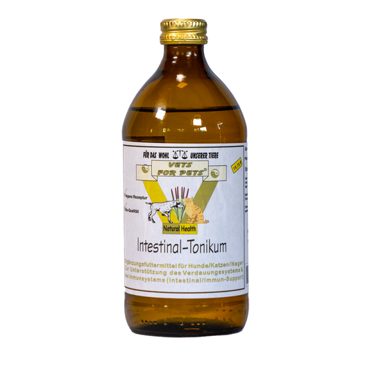Intestinal-Tonikum – Produktbild