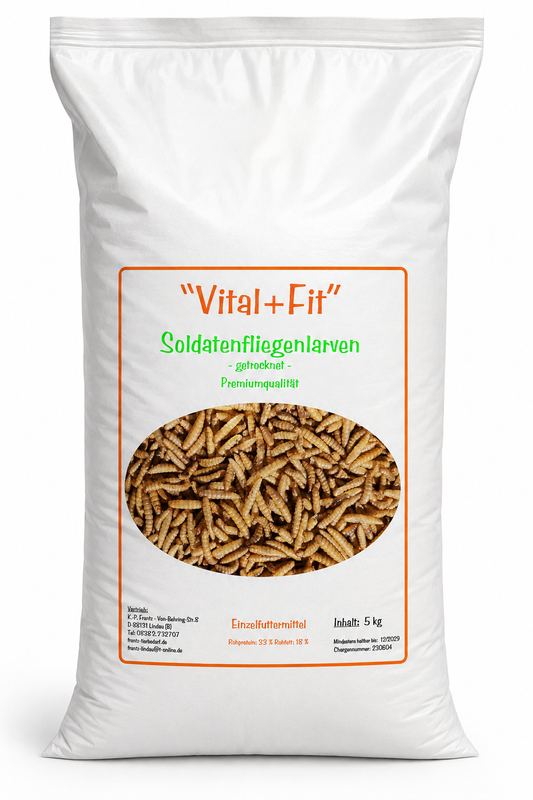 Soldatenfliegenlarven – Produktbild
